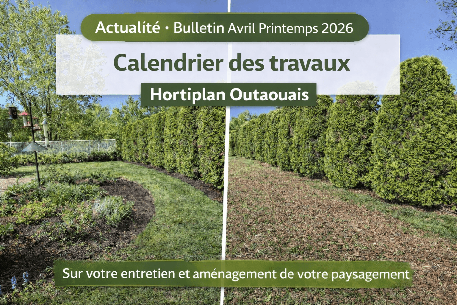 Entretien printanier paysager à Gatineau avec préparation de pelouse et plates-bandes