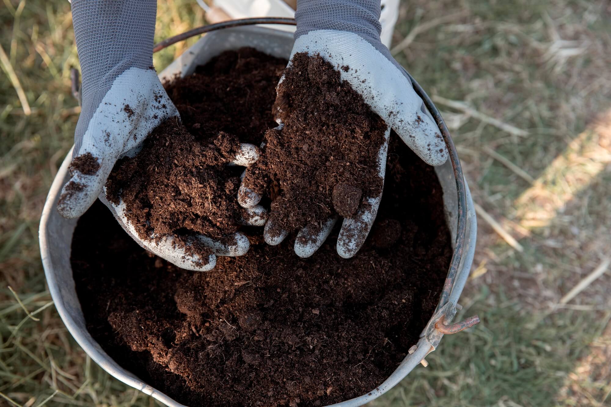amendement compost sol vivant fertilisation pelouse gatineau