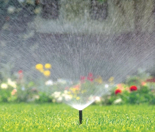irrigation pelouse besoin eau gazon Gatineau