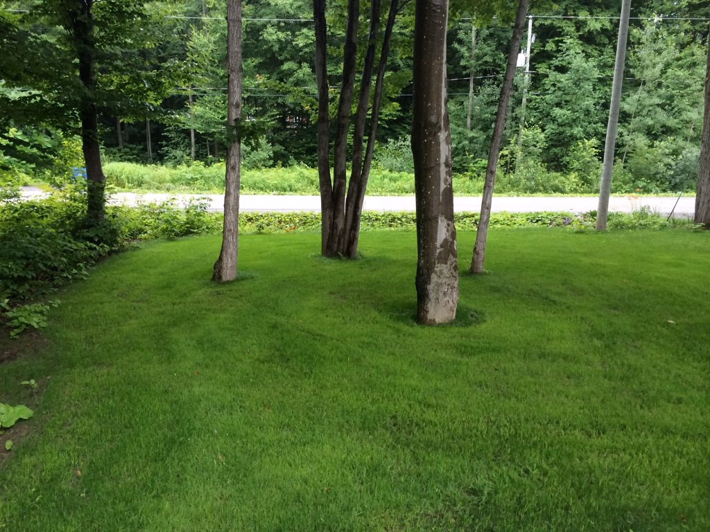 Entretien paysager complet & entretien de pelouse