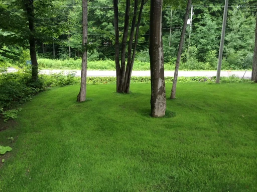 Aménagement paysager 6