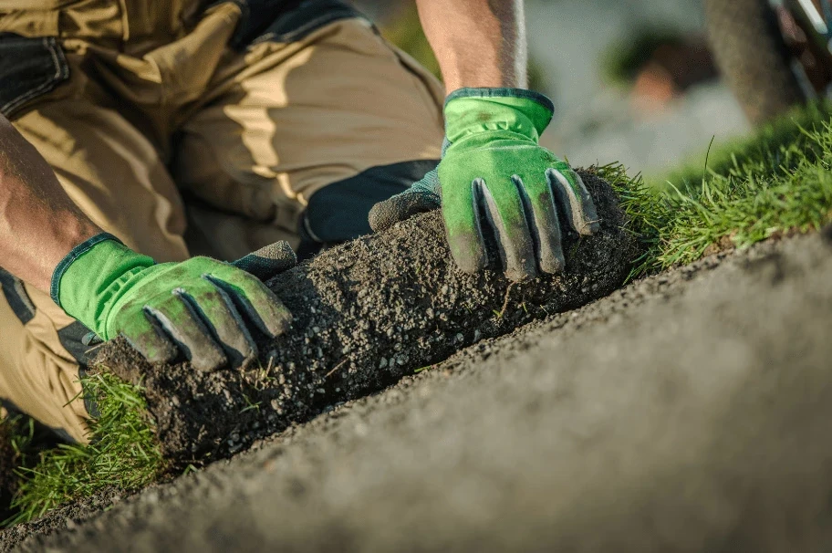 Installation de pelouse durable (Tourbe)